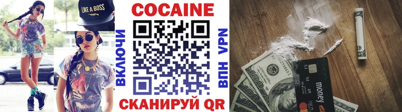 КОКАИН Fish Scale  где купить   кракен зеркало  Западная Двина 
