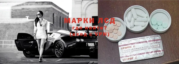гидра Володарск