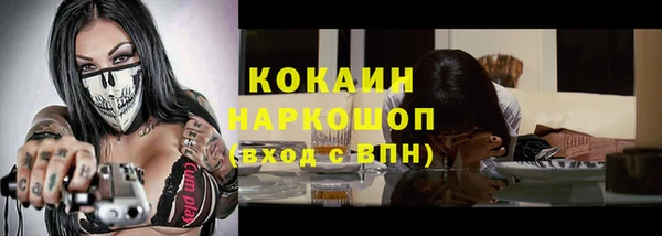 гидра Володарск