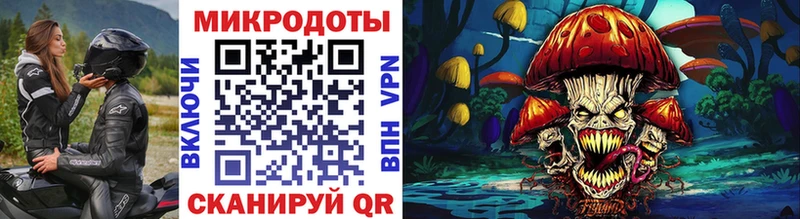 Псилоцибиновые грибы Psilocybine cubensis  гидра   Западная Двина  наркота 
