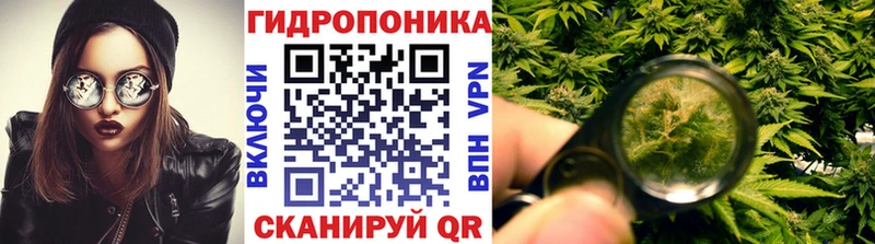 Канабис THC 21%  что такое наркотик  Западная Двина 